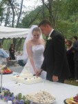 Cutting the cake