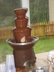 The chocolate fountain was a big hit!