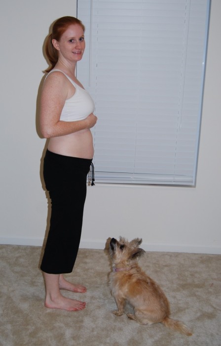 15Wks - quite amazing that I've only gained 5.5 - 6 pounds...looks like a heck of a lot more! :)