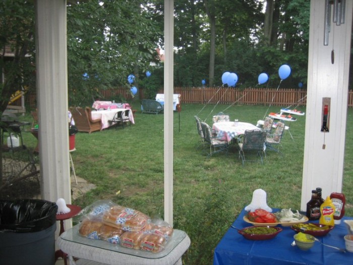 Diana's backyard before the party