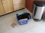 Chip's new favorite spot; in the recycling bin.