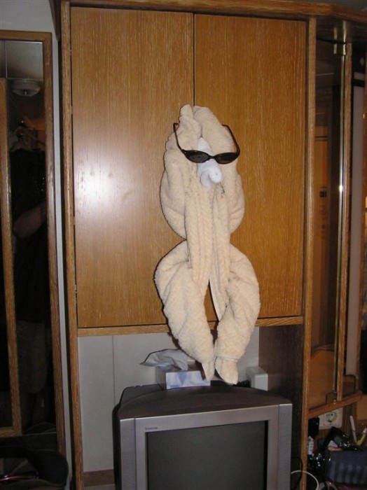 Our towel monkey