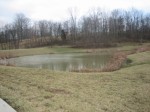 The pond in our community park area