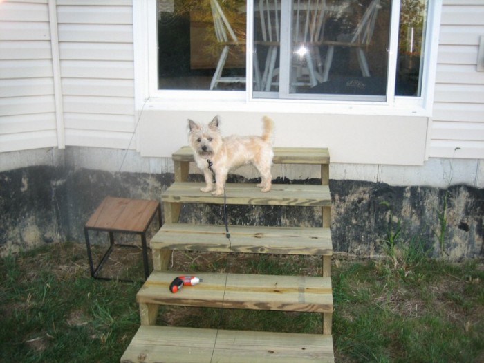 Meg trying out the stairs