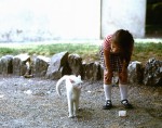Young girl and white cat in Lucca