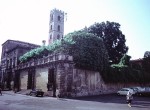 Rear view of Lucca cathedral and gardens