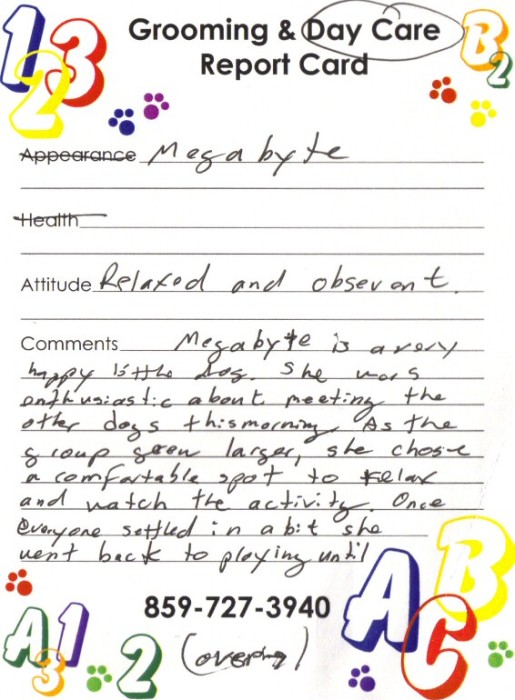 Front of Megabyte's report card: 3/26/07