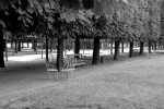 chairs in park2