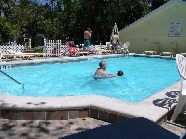 Phil and Philip in the pool