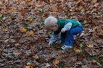 Playing in the leaves!