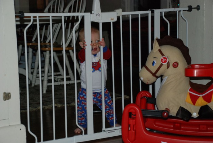 Sean loves going in and out of this gate.  He'll do it for hours if you let him.
