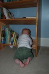 Sean playing on his bookshelf