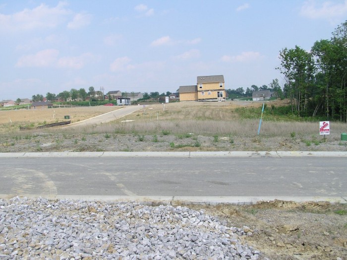 This shot was taken from across the street looking directly into our lot from teh front.  The driveway will be on the left side of the lot.