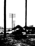 Power poles and railroad ties