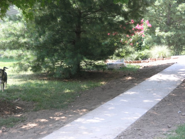 Sidewalk from curb to patio - grass to be planted in the five yards of new topsoil Narni moved over the weekend.