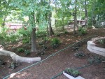 View from the deck stairs of the middle terrace