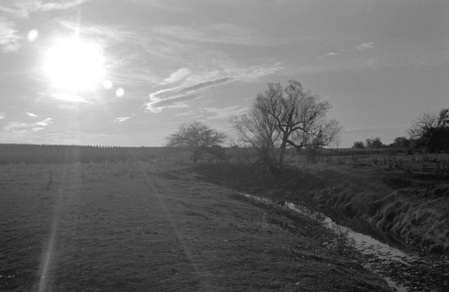 Field and shrubs - Rantoul, Illinois - 1966