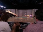 These are from the How to Train Your Dragon Live!